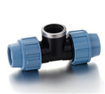 पीपी महिला टी